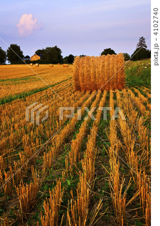 Farm field at dusk 4102740