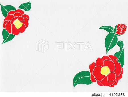 椿 花 藪椿のイラスト素材 4102888 Pixta