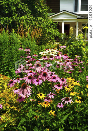 Residential garden landscaping Residential garden landscaping 4103026
