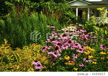 Residential garden landscaping Residential garden landscaping 4103027