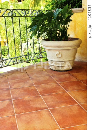 Plant on tiled Mexican veranda 4105352