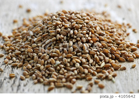 Whole grain wheat kernels closeup 4105642