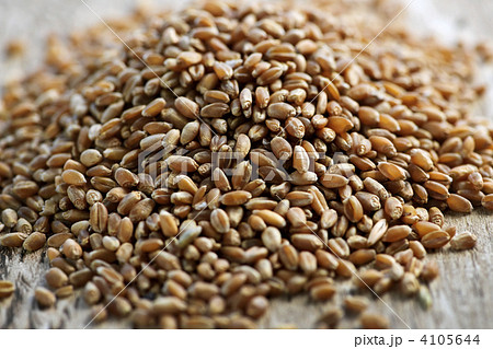 Whole grain wheat kernels closeup 4105644