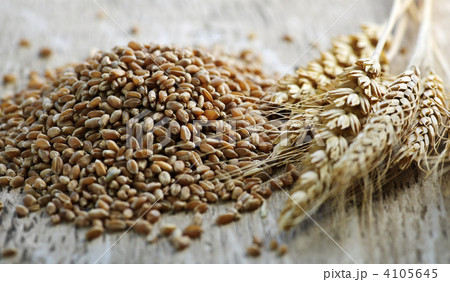 Whole grain wheat kernels closeup 4105645