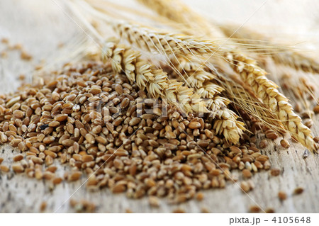 Whole grain wheat kernels closeup 4105648