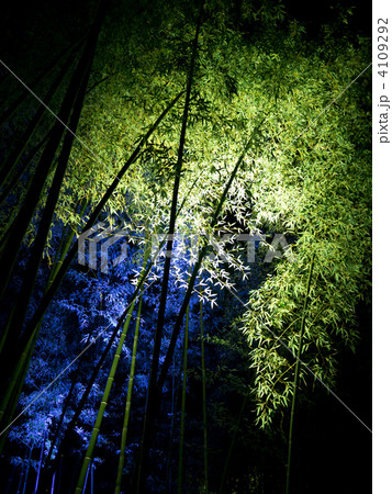 嵐山花灯路 嵐山花灯路 4109292