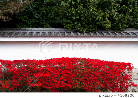 永観堂の塀 4109300