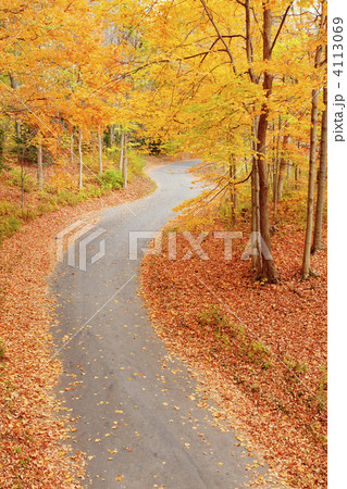Winding alley in fall 4113069