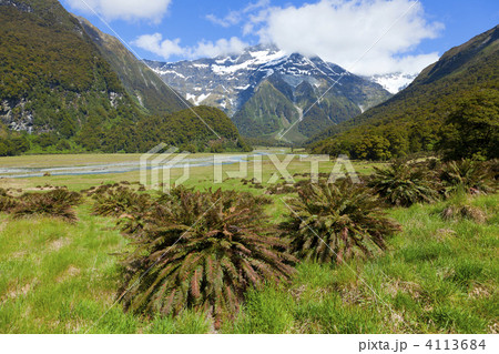 Scenic New Zealand 4113684