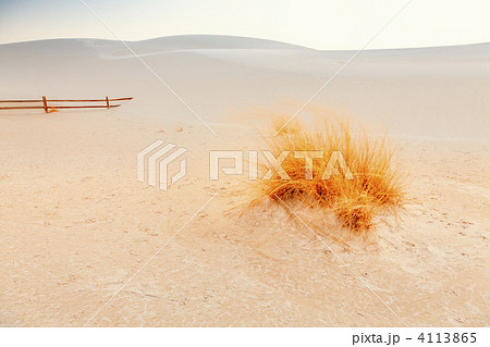 White Sands 4113865