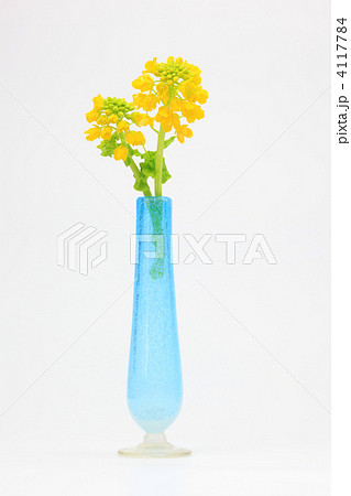 菜の花と水色の花瓶 4117784