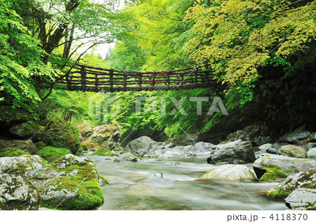 奥祖谷二重かずら橋　女橋　 4118370