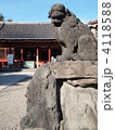 浅草神社の狛犬 4118588