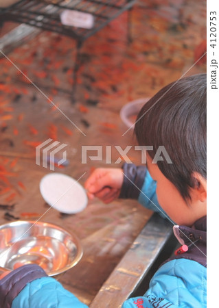 金魚すくい 4120753