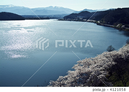 桜と蔵王連峰 4121058