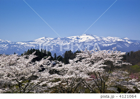 桜と蔵王連峰 桜と蔵王連峰 4121064