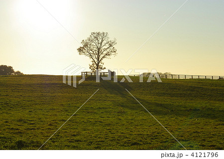 馬の黄昏時 4121796