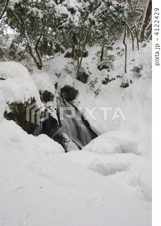 真冬の白玉の滝 4122429