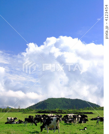 放牧 放牧 4123454