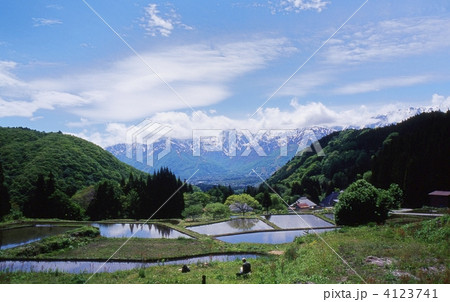 白馬連山　青空　棚田 4123741