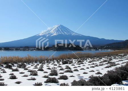 冬の大石公園 冬の大石公園 4123861
