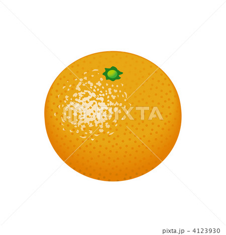 オレンジのイラストのイラスト素材