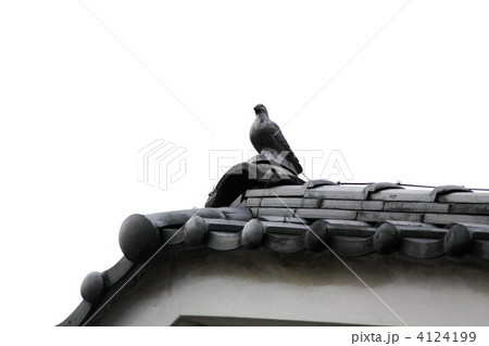 美濃 「うだつの上がる町並み」 4124199