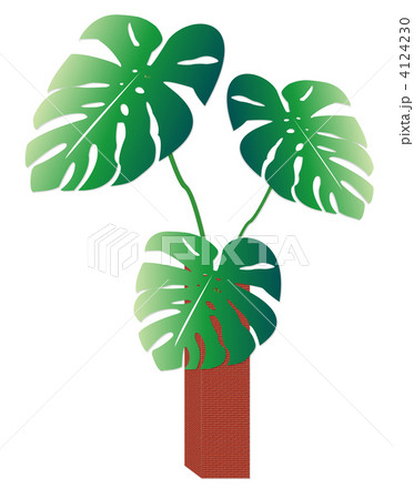 モンステラの葉鉢植えレンガ鉢植え緑 ハワイのイラスト素材