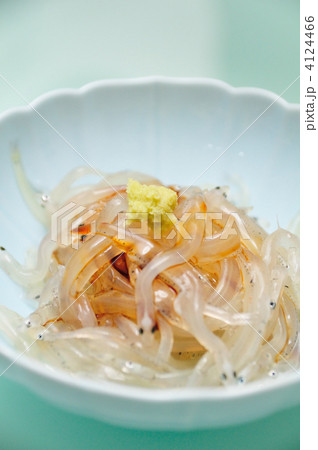 白魚 4124466
