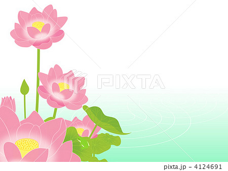 蓮の花とカエル 4124691