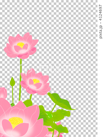 蓮の花とカエル 4124697