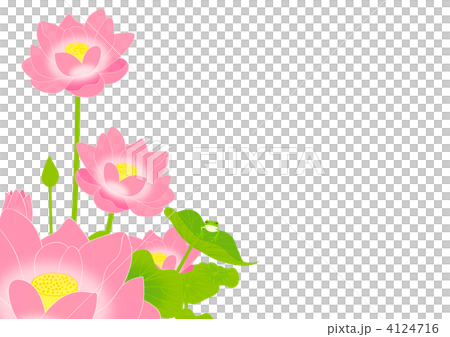 蓮の花とカエル 4124716
