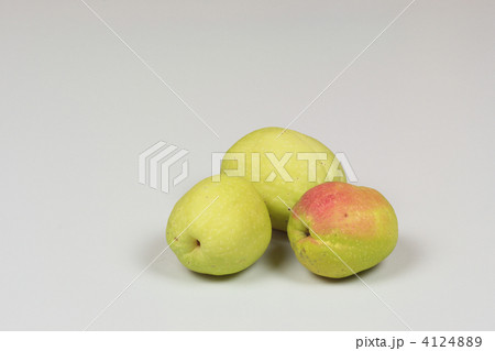 ボケの実 ボケの実 4124889