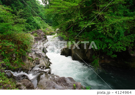 憾満ヶ淵-夏の清流 憾満ヶ淵-夏の清流 4124964
