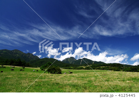 八ヶ岳牧場 4125445