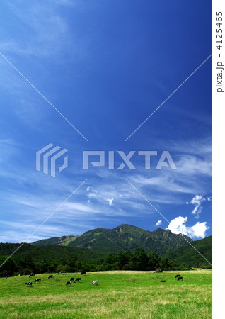 八ヶ岳牧場 4125465