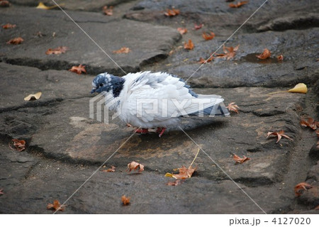 もう帰ろうかな・・。 4127020