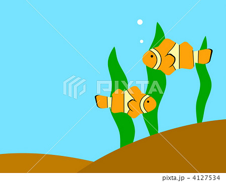 カクレクマノミ 4127534