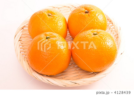 伊予柑 伊予柑 4128439