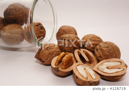 オニグルミ オニグルミ 4128719