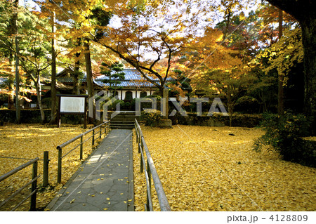 本坊庭園 本坊庭園 4128809