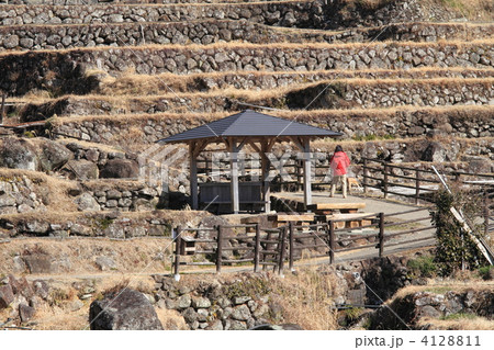 四谷の千枚田 四谷の千枚田 4128811