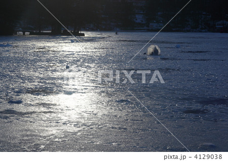 長野県松原湖のワカサギ釣り 長野県松原湖のワカサギ釣り 4129038