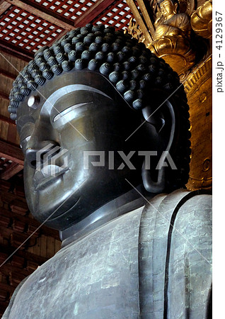 東大寺大仏の頭部アップ 東大寺大仏の頭部アップ 4129367