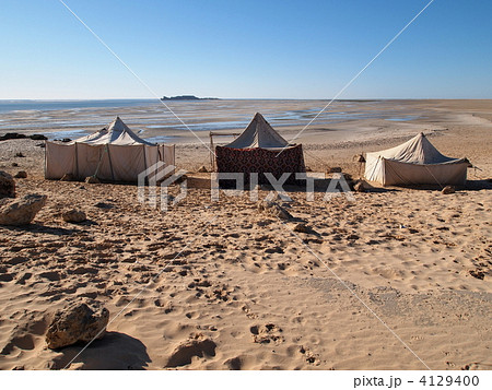 西サハラ・ダクラ　半島の海辺 4129400