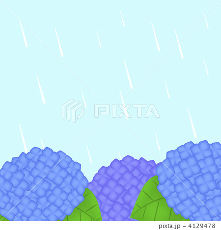 あじさい あじさい 4129478