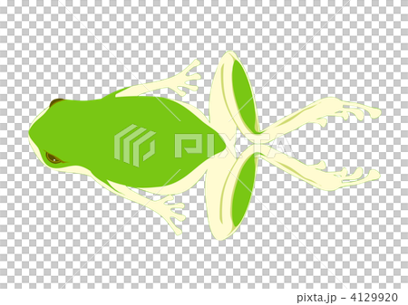 カエル 4129920