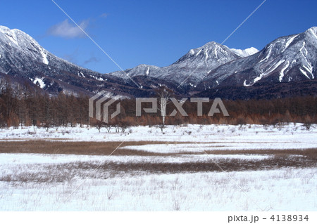 冬の小田代ヶ原 4138934