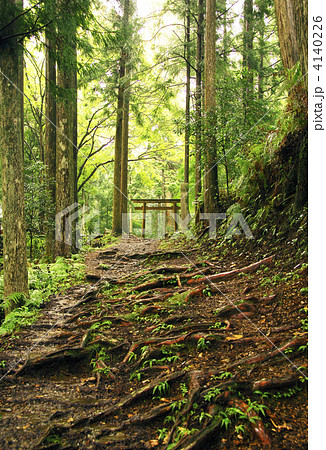 熊野古道にある神社 世界遺産 王子神社参詣道 イメージ素材 熊野古道にある神社 世界遺産 王子神社参詣道 イメージ素材 4140226