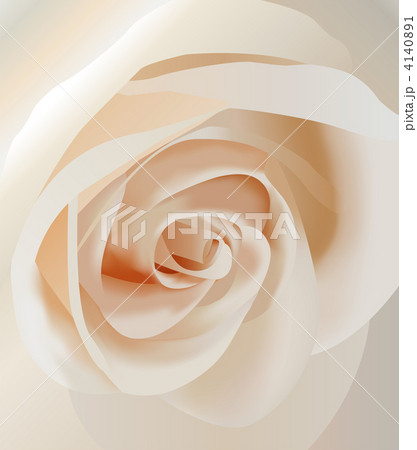 vector white rose closeup vector white rose closeup 4140891